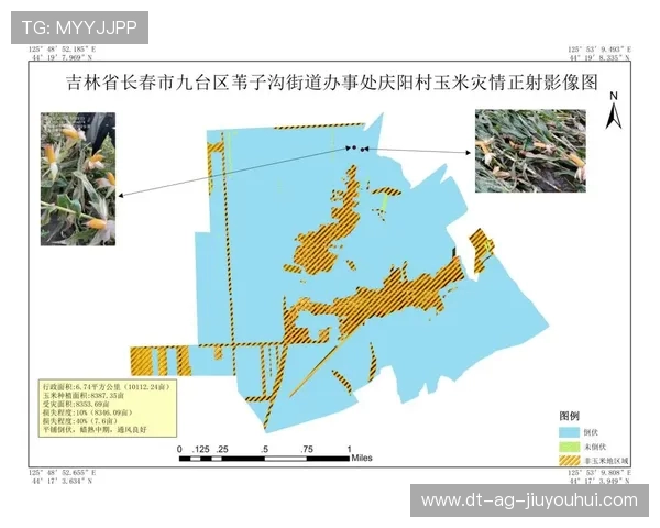 从足球竞技到尿素科学探秘绿色动力助力运动与农业融合发展
