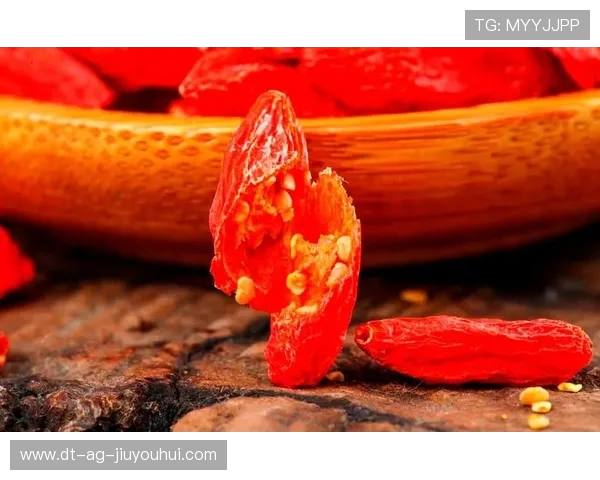 全面升级提亮足球超值套装带来焕新运动体验深度解析全方位指南篇